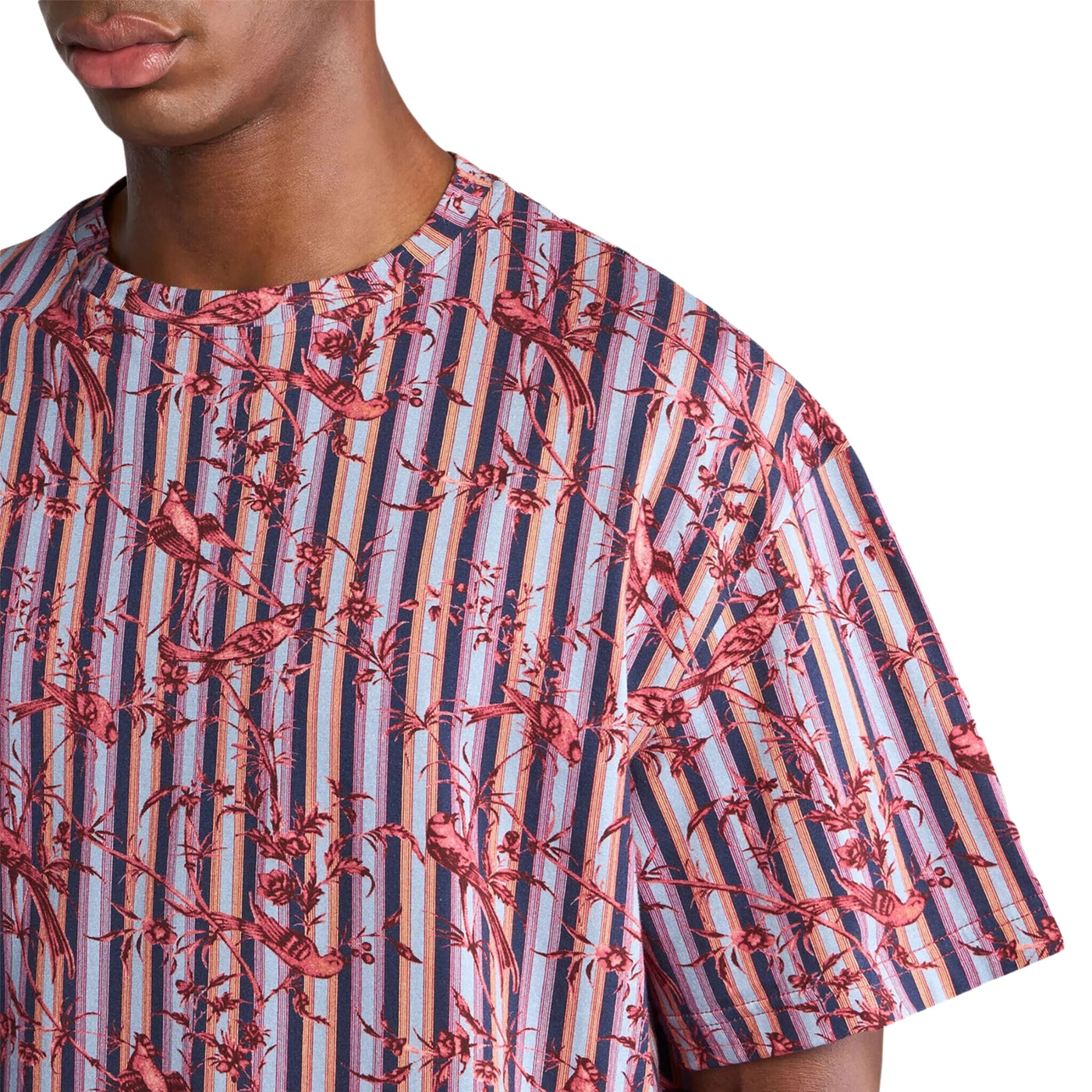 Etro T-Shirt Striped Allover Print Red-Blue