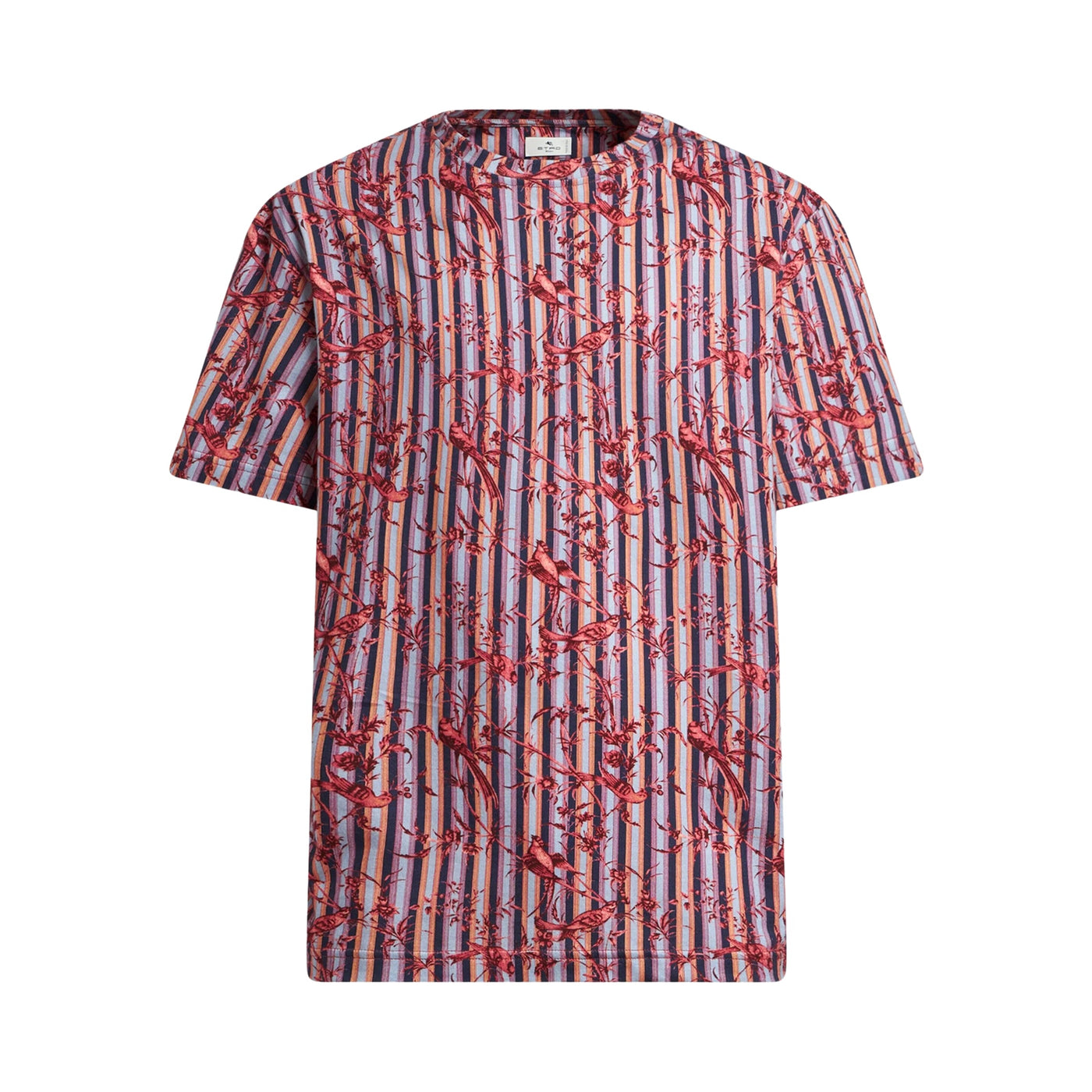 Etro T-Shirt Striped Allover Print Red-Blue